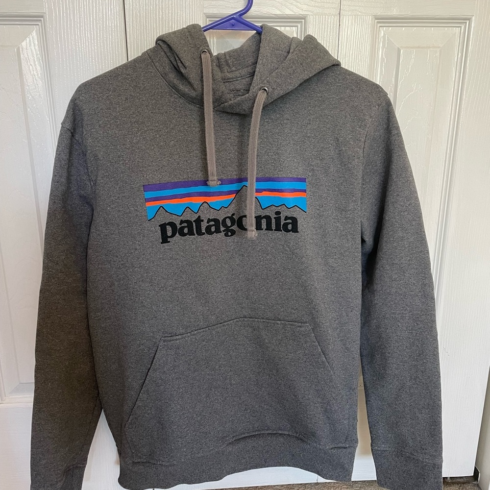 Patagonia sweatshirt